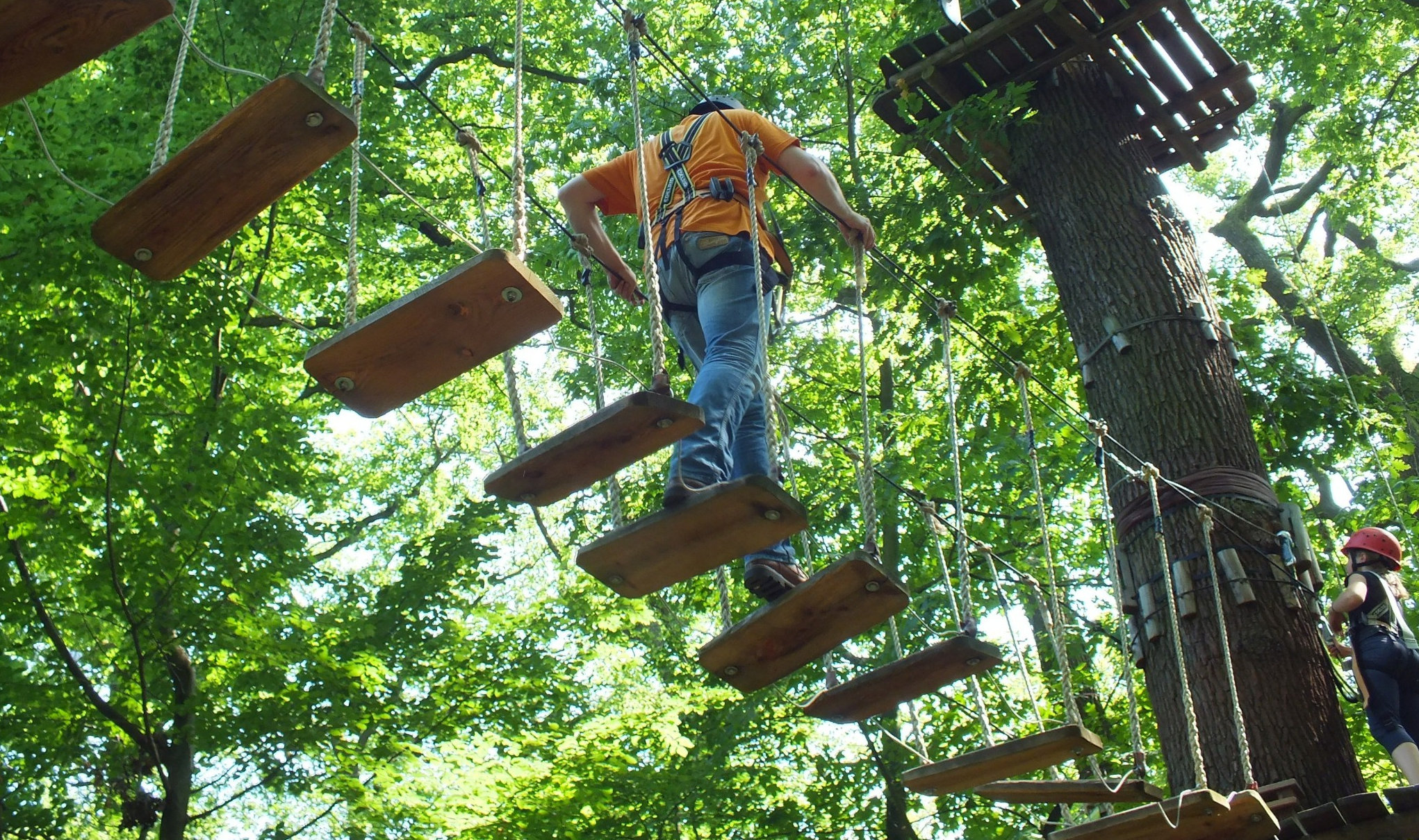 Abenteuer Kletterwald