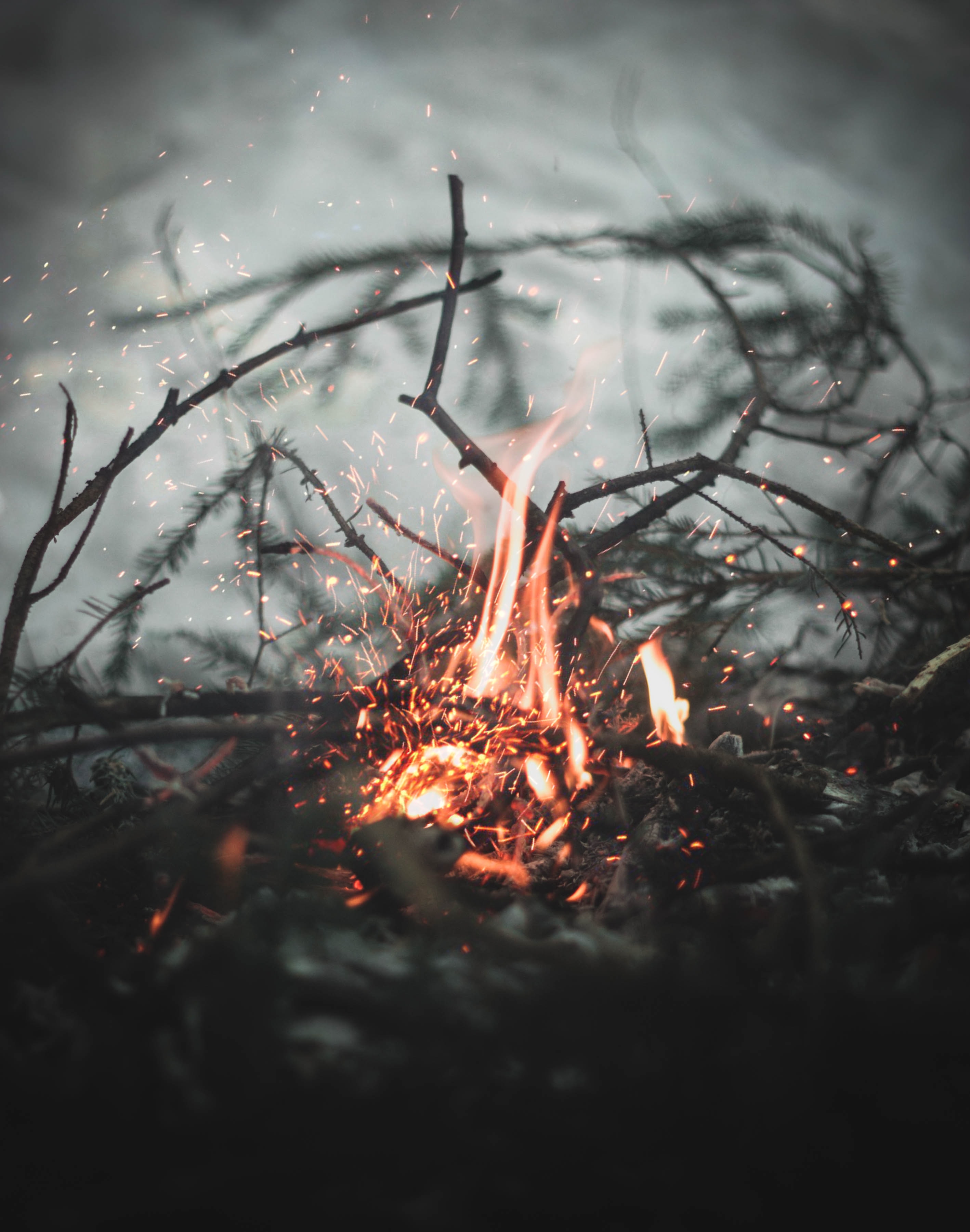 gleb lukomets xXj3ctfRmvw unsplash