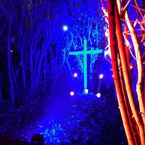 Holzkreuz in der Weidenkapelle bei Nacht mit blauem Licht beleuchtet